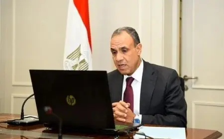 عبدالعاطي يعقد لقاء افتراضيا مع ممثلي الجالية المصرية في قطر