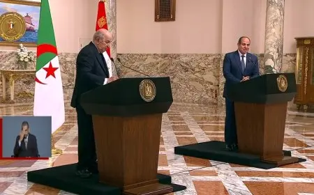 الرئيس السيسي: 5000 شركة مصرية يمكنها العمل بالجزائر في أي مشروعات للبنية الأساسية