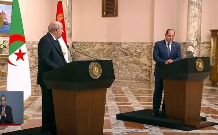 الرئيس السيسي: أطلقنا مبادرة لوقف إطلاق النار بغزة لمدة يومين يعقبها استكمال المفاوضات