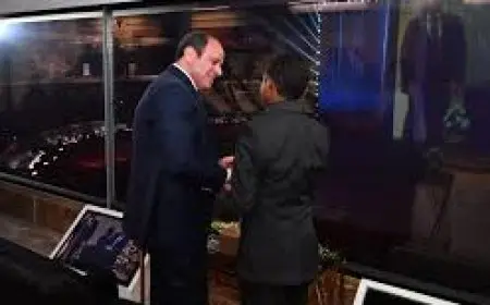 نفسي أكون زي شيكابالا.. ماذا قال الطفل أنس عبد العظيم عن مصافحته للرئيس السيسي؟