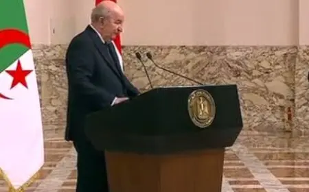 رئيس الجزائر: نبذل كل ما في وسعنا بمجلس الأمن لوقف الإبادة في غزة