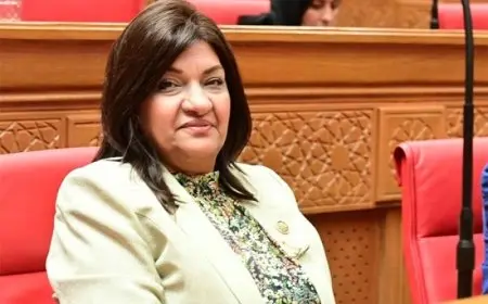 فيديو.. النائبة إيفلين متى: أسعار السلع ترتفع يوميا.. فيه حاجة غلط