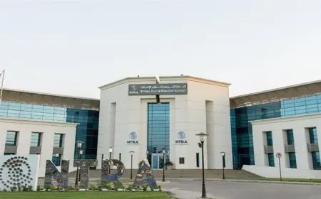 تنظيم الاتصالات: عطل تقني في بعض صفحات الفيسبوك داخل مصر