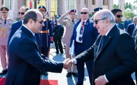 الرئيس السيسي يودع نظيره الجزائري عبد المجيد تبون في مطار القاهرة الدولي