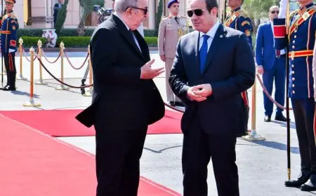 الرئيس السيسي يودّع نظيره الجزائري بعد انتهاء زيارته إلى مصر