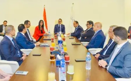 وزير الاستثمار يبحث جهود صندوق مصر السيادي لجذب مزيد من الاستثمارات