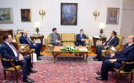 عبدالعاطي يستقبل وفد من الغرفة التجارية العربية البرازيلية