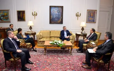 وزير الخارجية: مصر تدين الإجراءات الإسرائيلية في شمال غزة وكل عراقيل دخول المساعدات للقطاع