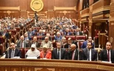 مجلس الشيوخ يعلن تشكيل لجنة القيم لدور الانعقاد الخامس