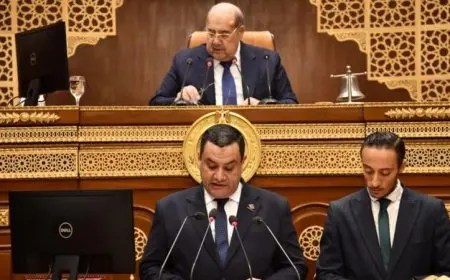 مجلس الشيوخ يبدأ مناقشة مشروع تجديد العمل بقانون إنهاء المنازعات الضريبية‎