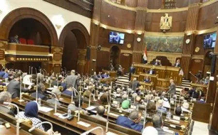 لإفساح المجال للبت في التظلمات.. وكيل مجلس الشيوخ يقترح مد لجان المنازعات الضريبيبة عامين
