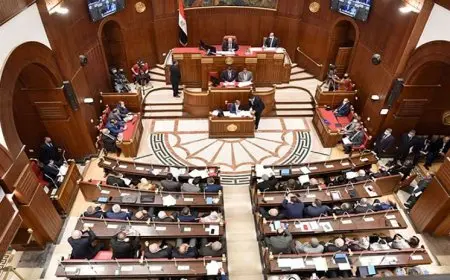 مجلس الشيوخ يوافق نهائيا على مشروع تجديد العمل بقانون إنهاء المنازعات الضريبية‎