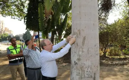 نائب وزير الزراعة يتفقد حديقة الأورمان.. ومسئول بتحالف التطوير: جميع الأشجار مرقمة ولا يمكن إزالتها
