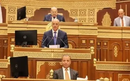 مجلس الشيوخ يحيل طلب تحسين كفاءة الإنتاج للجنة الشئون المالية لدراسته