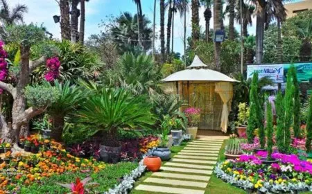 الزراعة تنفي قطع الأشجار بحديقة الأورمان.. وتكشف موعد الافتتاح الرسمي