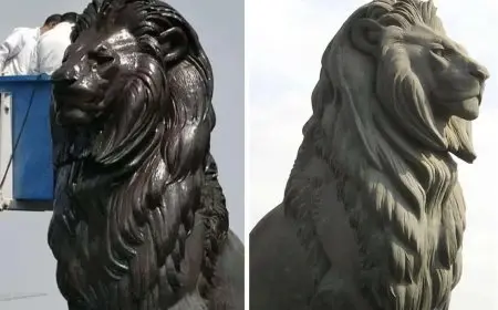 الأعلى للآثار: انعكاس الشمس سبب لمعان أسود قصر النيل ولم نستخدم الورنيش