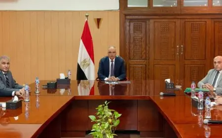 وزير الري يتابع موقف الطلبات المقدمة من أهالي الوادي الجديد فيما يخص آبار المياه الجوفية