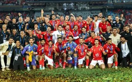 بعد إقصاء ريفربليت.. 4 منافسين محتملين للأهلي في نهائي كأس التحدي