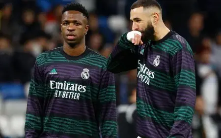 بنزيما: تواصلت مع فينيسيوس بعد الكرة الذهبية.. لقد كان حزيناً