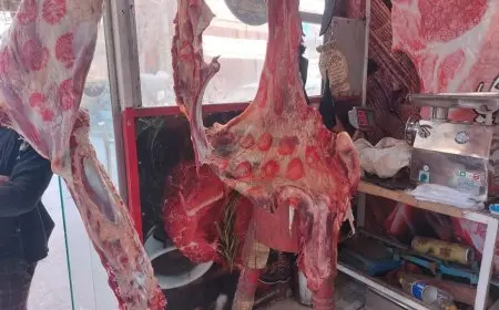 محافظ الدقهلية يقرر إحالة 96 محضرا بالمخالفات التي تم ضبطها للنيابة العامة