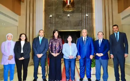 وزارة التضامن والتحالف الوطني يبحثان مع «الفاو» تدشين مبادرة لدعم زراعة مليون فدان قمح