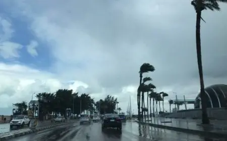 الأرصاد تكشف تفاصيل حالة الطقس في مصر