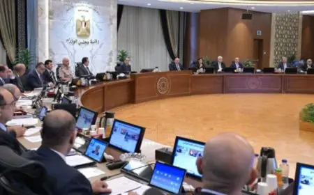 مجلس الوزراء يوافق على منح تيسيرات ضريبية للمشروعات التي لا يتجاوز رقم أعمالها السنوي 15 مليون جنيه