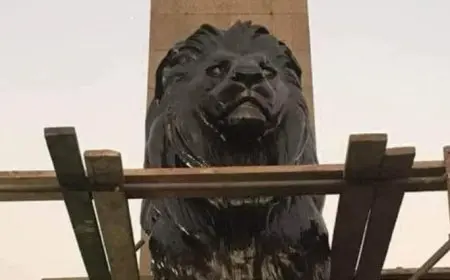 أزمة أسود قصر النيل.. وزير الآثار: من يريد الإصلاح عليه أن يكون إيجابيا