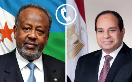 السيسي والرئيس الجيبوتي يبحثان هاتفيا عددا من القضايا بالقارة الأفريقية