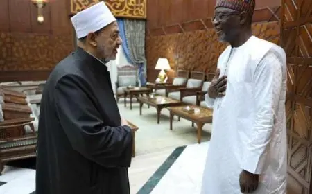 شيخ الأزهر يستقبل وزير خارجية النَّيجر لبحث سُبُل تعزيز الدعم الأزهري