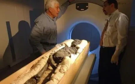 كيف خرجت رأس نفرتيتي من مصر ؟ مواطن ألماني استولى عليها