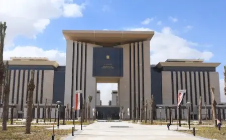 مصر تدين اعتداءات ميليشيا الدعم السريع على المدنيين في شرق ولاية الجزيرة بالسودان