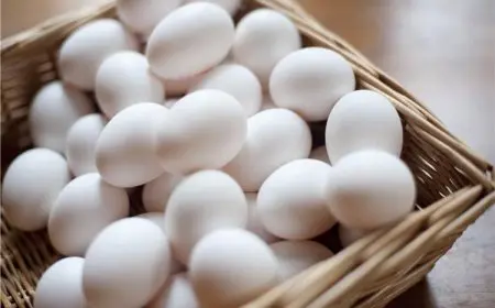 الحكومة تكشف سبب ارتفاع أسعار البيض