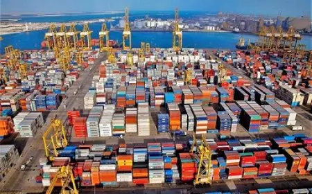 الحكومة: موانئ دبي ستجذب استثمارات لمنطقتها الحرة في العاصمة الإدارية