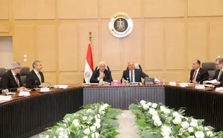 اجتماع بين نائب رئيس الوزراء ووزير التعليم العالي لبحث سبل تعظيم دور البحث العلمي في النهوض بقطاعي الصناعة والنقل