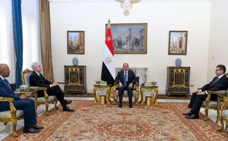 الرئيس السيسي يستقبل رئيس وكالة الاستخبارات المركزية الأمريكية