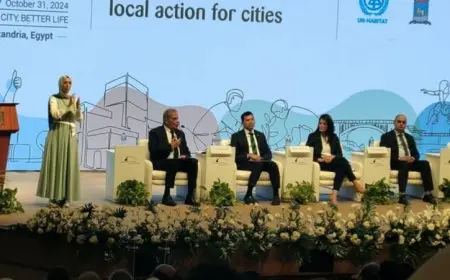 وزيرة التخطيط والتعاون الدولي: 40% من الاستثمارات خضراء