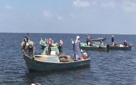 جهاز مستقبل مصر للتنمية المستدامة يتولى تنمية بحيرة البردويل