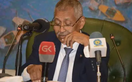 سفير السودان بالقاهرة: السودان ومصر شعب واحد في دولتين