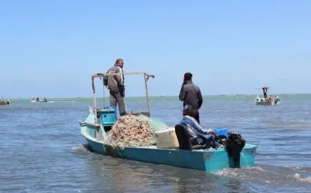 متحدث الحكومة ينفي شائعة بيع بحيرة البردويل ويوضح: جهاز مستقبل مصر يطورها