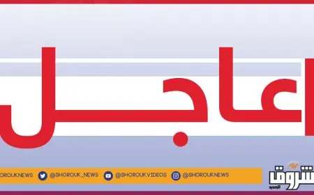 مصدر رفيع المستوى: لا صحة لاستقبال ميناء الإسكندرية سفينة ألمانية تحمل موادا عسكرية لإسرائيل