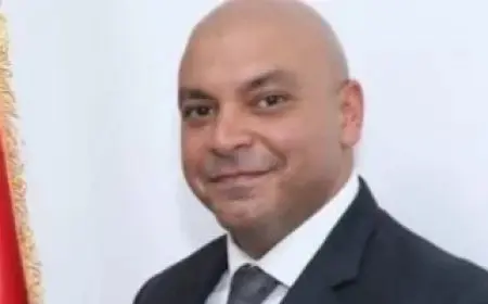 محمود القط: إنشاء أكثر من 10 آلاف مصنع في مصر منذ 2015