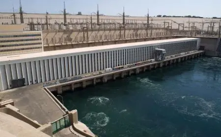 عباس شراقي: السد العالي عوّض 19 مليار متر من حصة المياه المحتجزة بسد النهضة