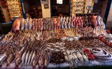 ارتفاع البلطي.. أسعار السمك والمأكولات البحرية اليوم الجمعة في سوق العبور