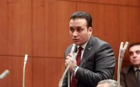 النائب عمرو فهمي: مصر لم ولن تتخلى عن موقفها في دعم القضية الفلسطينية