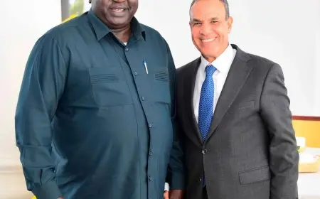 د. بدر عبدالعاطى يلتقى مع وزير العلاقات الدولية الأوغندى