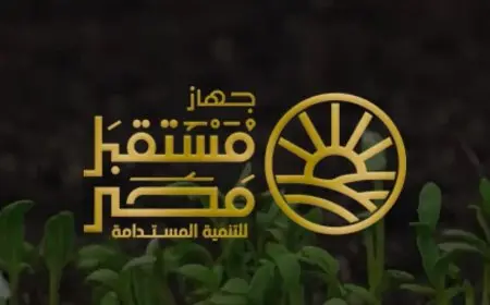 نقل تبعية بحيرة البردويل إلى جهاز مستقبل مصر للتنمية المستدامة.. ما الخلفيات والأهداف؟