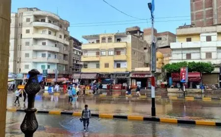 نوة غسيل البلح.. موعد وتفاصيل أول ظاهرة تضرب الإسكندرية في شتاء 2025