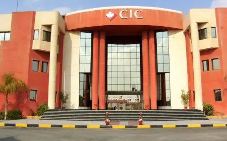 مسئول أممي يشيد بتمثيل المرأة المصرية بالجهاز التنفيذي: مشاركتها الاقتصادية تزيد الناتج القومي بنحو الثلث