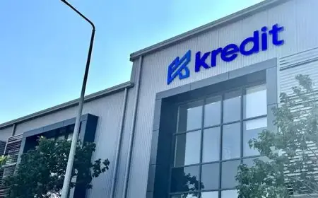 9 بنوك تقرض “كريدت لتمويل المشروعات الصغيرة والمتوسطة” 875 مليون جنيه